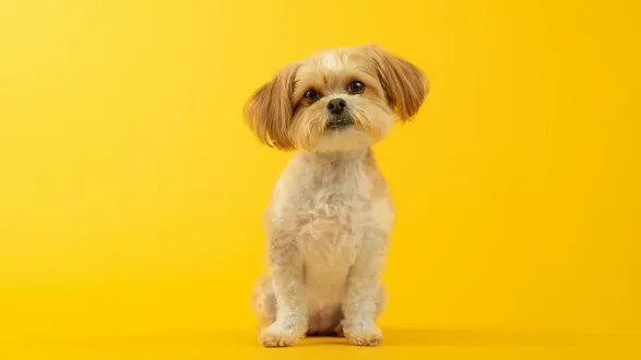 karsten-winegeart-unsplash